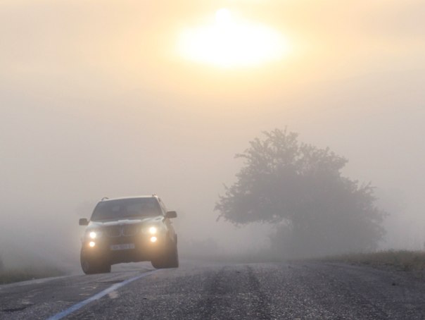 Туман – злейший противник водителя
